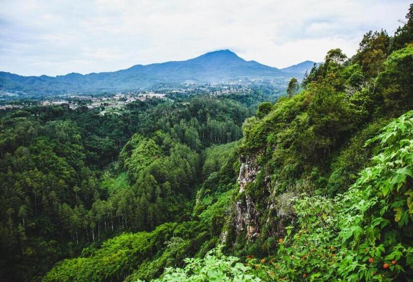 Fotos del hotel Asmila Boutique:  30