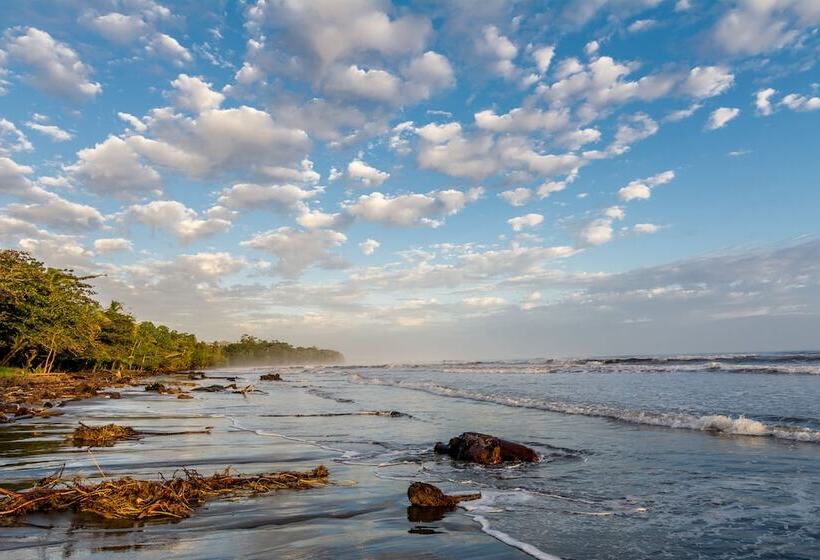 هتل Atlantida Lodge Cahuita