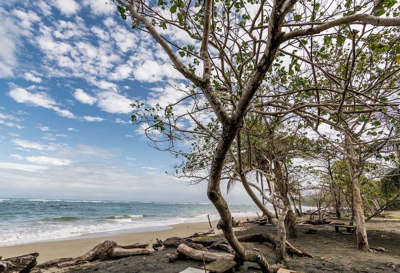 هتل Atlantida Lodge Cahuita