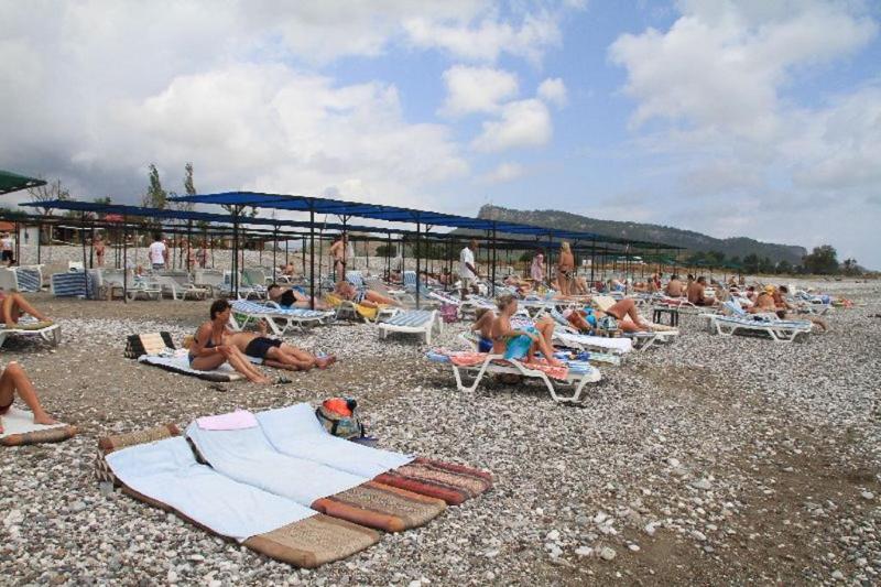هتل İstanbul Beach