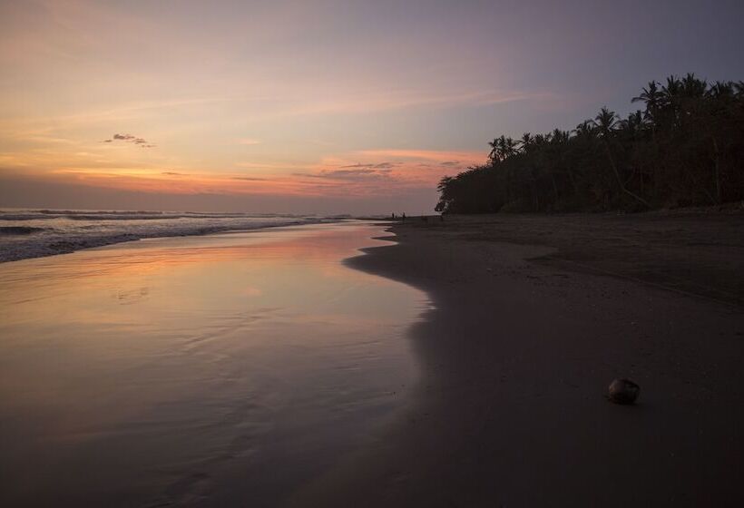 هتل Kelapa Retreat & Spa