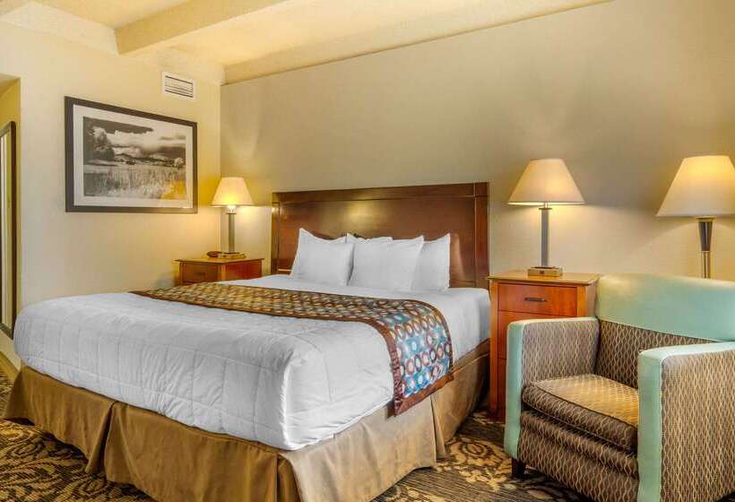 هتل Budget Inn Denver Downtown