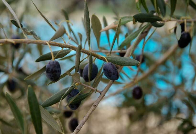 فندق Val Baussenc, The Originals Relais