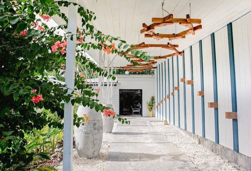 استراحتگاه Turtle Bay Lodge