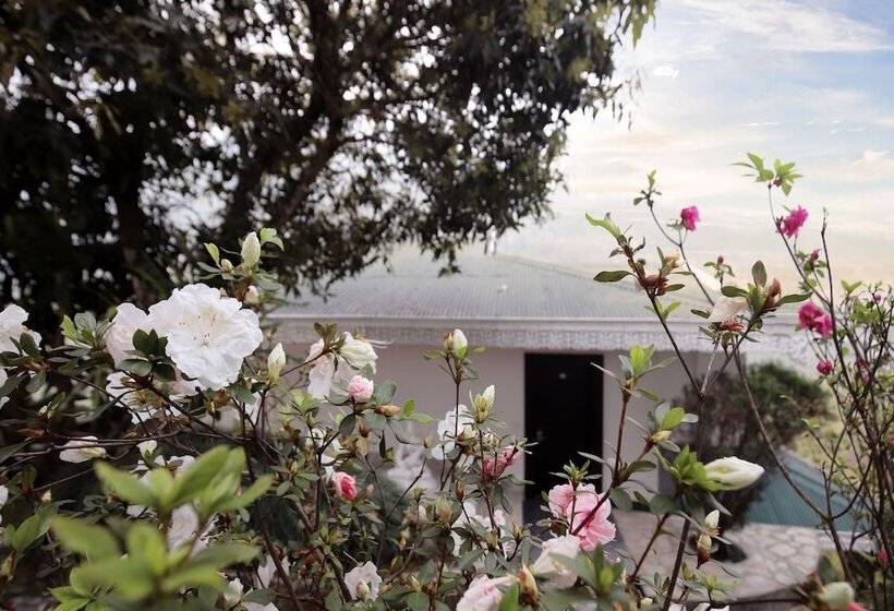 Курорт Sterling Gangtok Orange Village