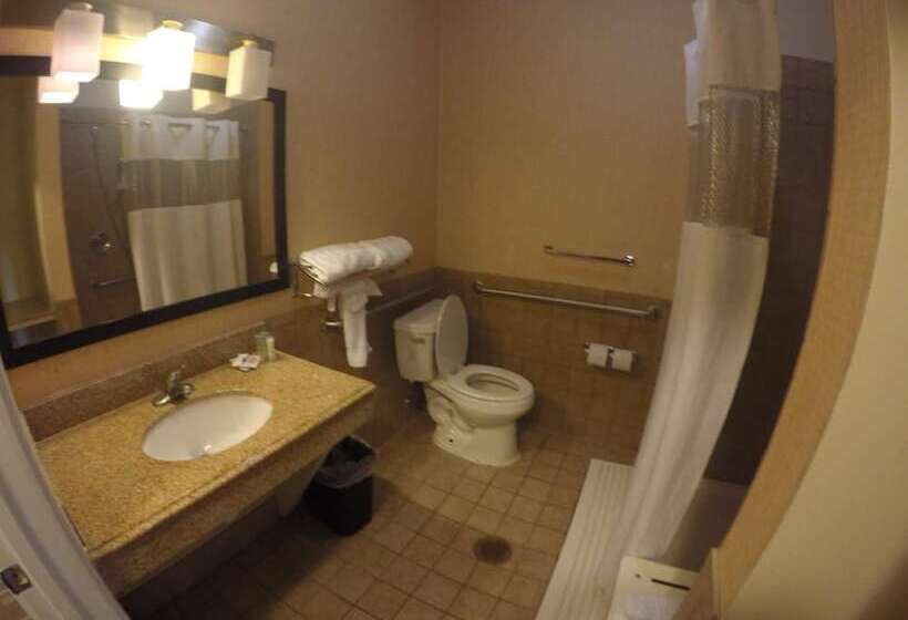 هتل Airway Inn   Iah Airport