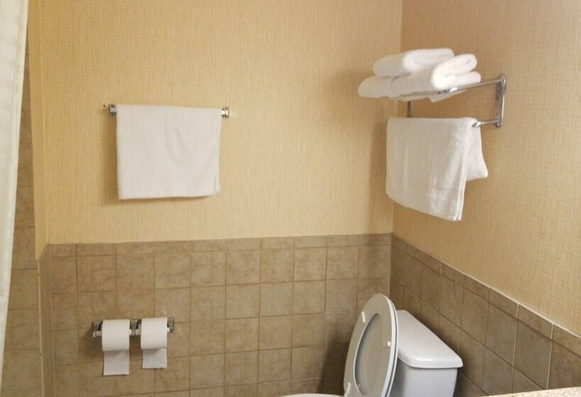 هتل Airway Inn   Iah Airport