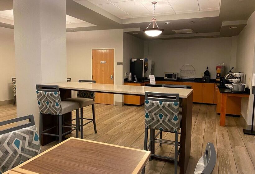 酒店 Best Western Windsor Inn And Suites