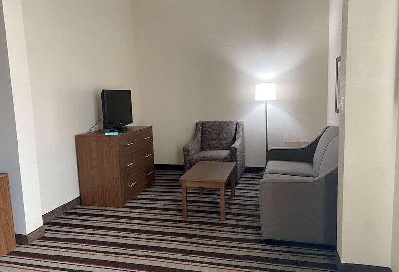 酒店 Best Western Windsor Inn And Suites