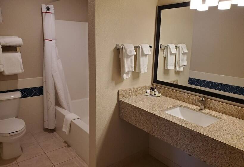 فندق Cobblestone Suites  Oshkosh