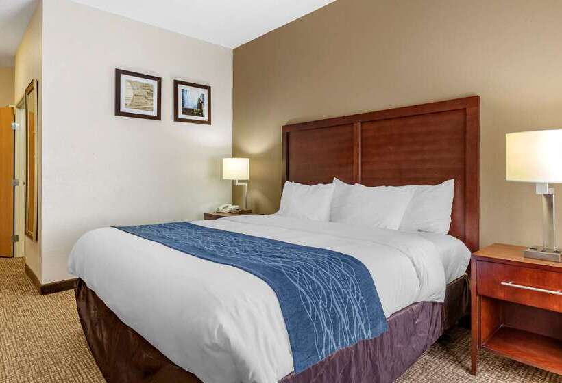 هتل Comfort Inn Downtown  University Area