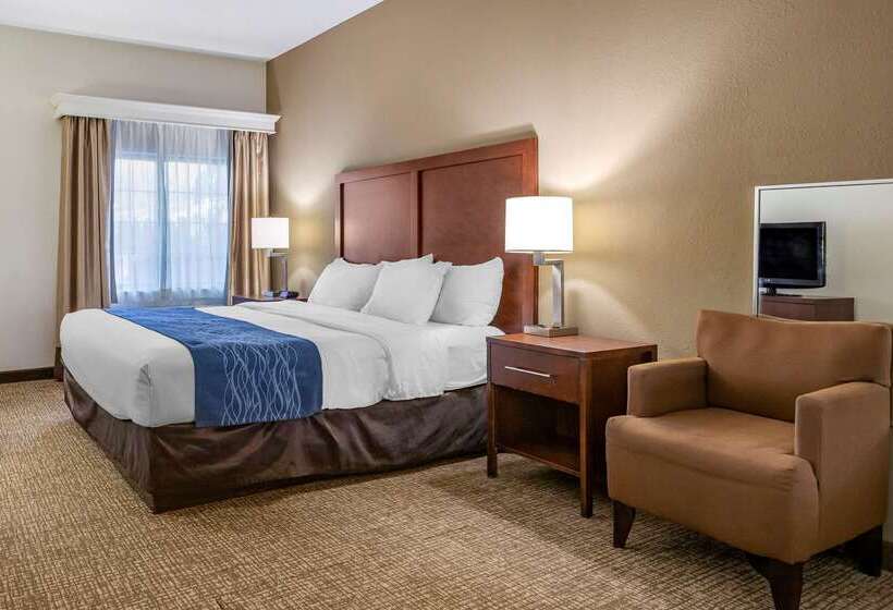 هتل Comfort Inn Downtown  University Area