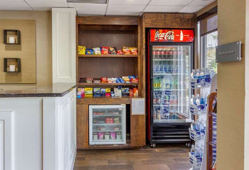 فندق Comfort Suites At The University