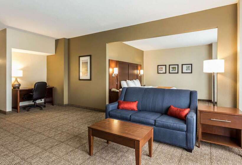فندق Comfort Suites At The University