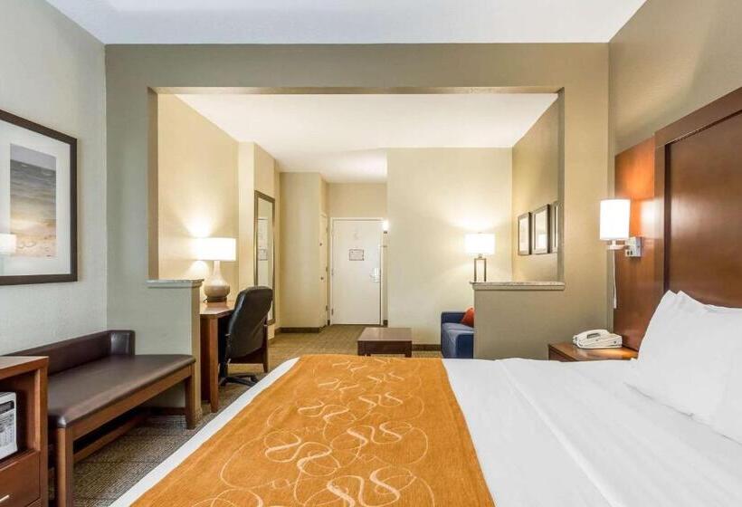 فندق Comfort Suites At The University