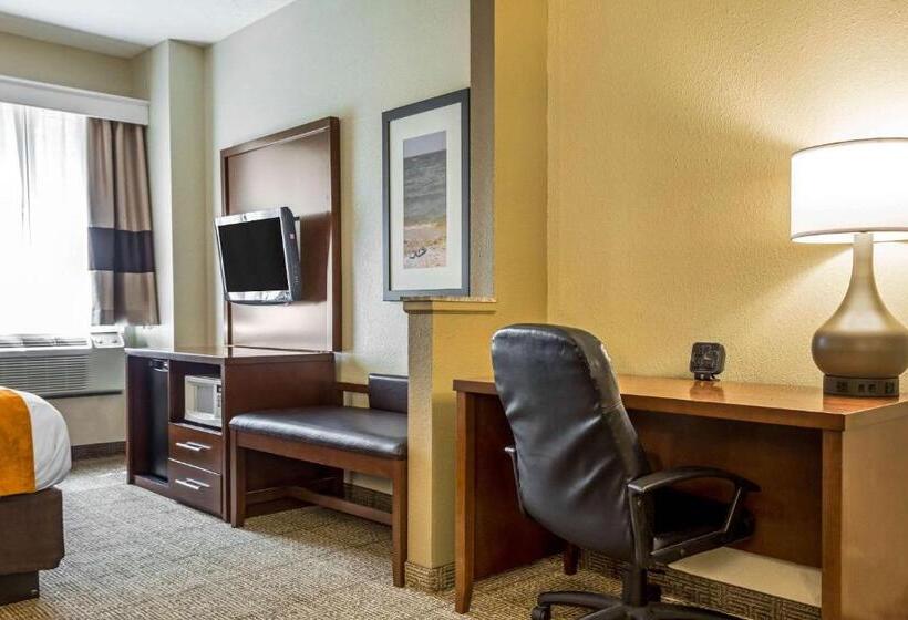 فندق Comfort Suites At The University