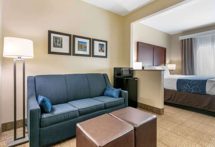 هتل Comfort Suites