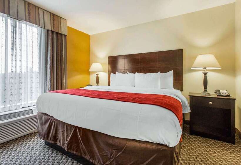 هتل Comfort Suites Clinton Near Presbyterian College