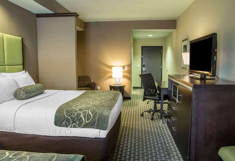 هتل Comfort Suites New Bern Near Cherry Point