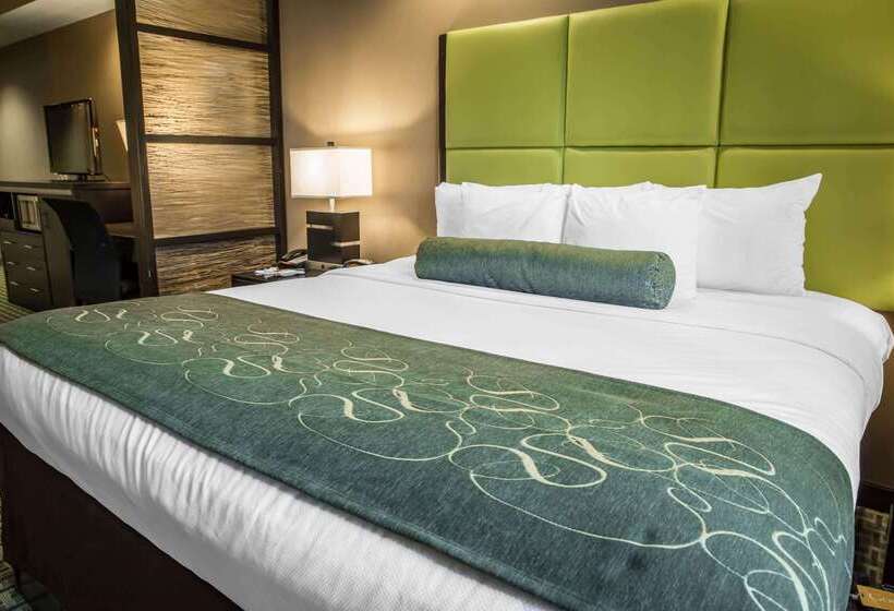 هتل Comfort Suites New Bern Near Cherry Point