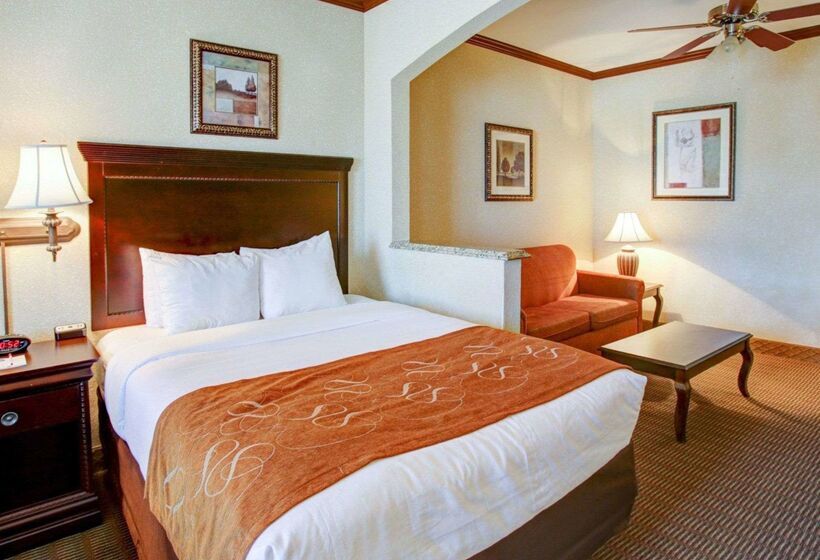هتل Comfort Suites University Drive