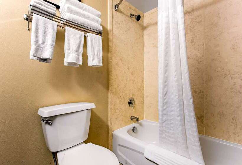 هتل Comfort Suites Wilmington Near Downtown