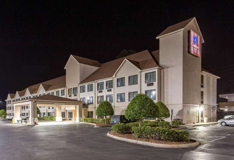 هتل Comfort Suites Wilmington Near Downtown