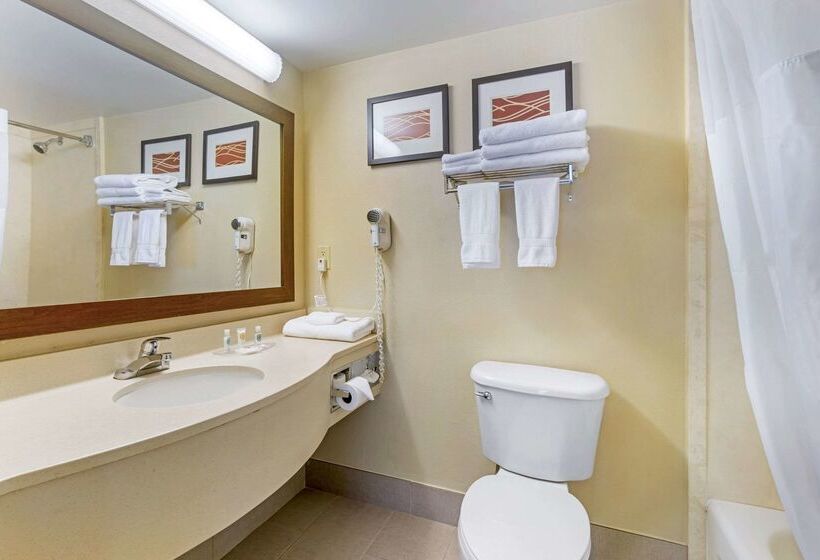 هتل Comfort Suites Wilmington Near Downtown
