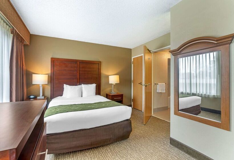 هتل Comfort Suites Wilmington Near Downtown