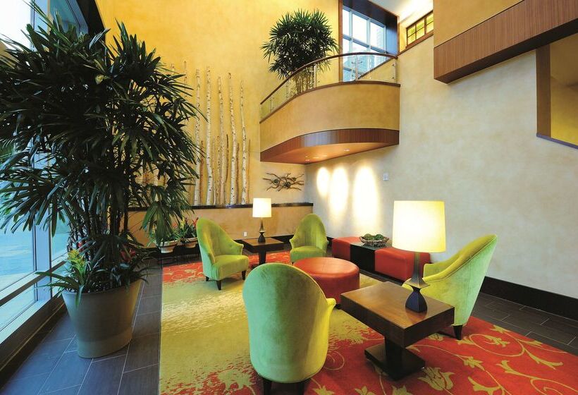 Fotos del hotel Embassy Suites Houston - Downtown:  46