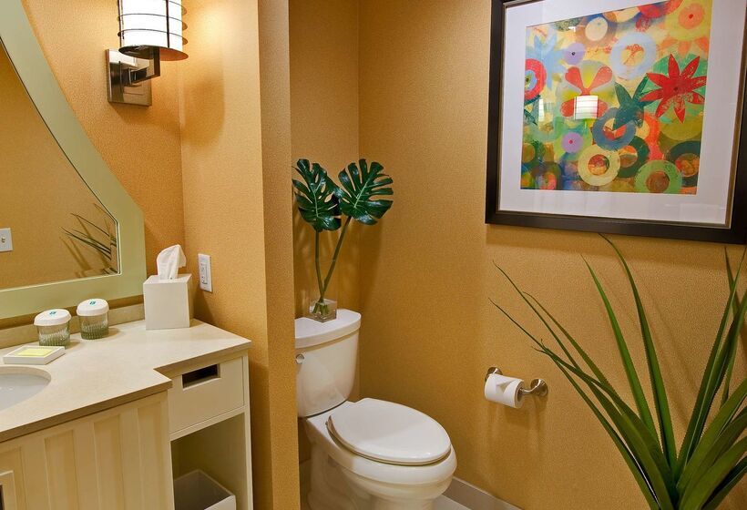 Fotos del hotel Embassy Suites Houston - Downtown:  45