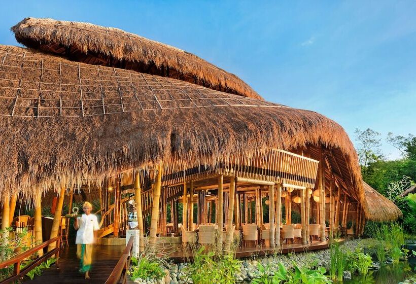 Fotos del hotel Fivelements Retreat Bali:  20