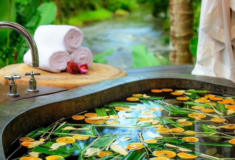 Fivelements Retreat Bali