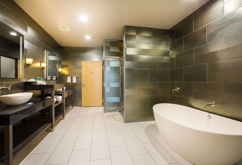 هتل Holiday Inn Express & Suites Amarillo West, An Ihg