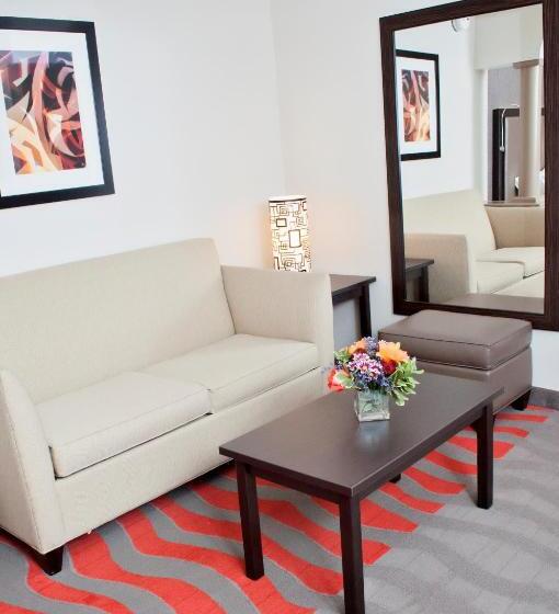 Holiday Inn Express Hotel & Suites Pittsburgh South Side, An Ihg