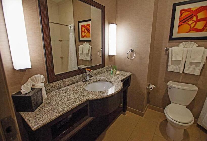 Fotos del hotel Holiday Inn Houston West - Westway Park, An Ihg:  8