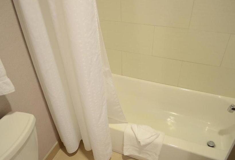 هتل Holiday Inn Houston West   Westway Park, An Ihg