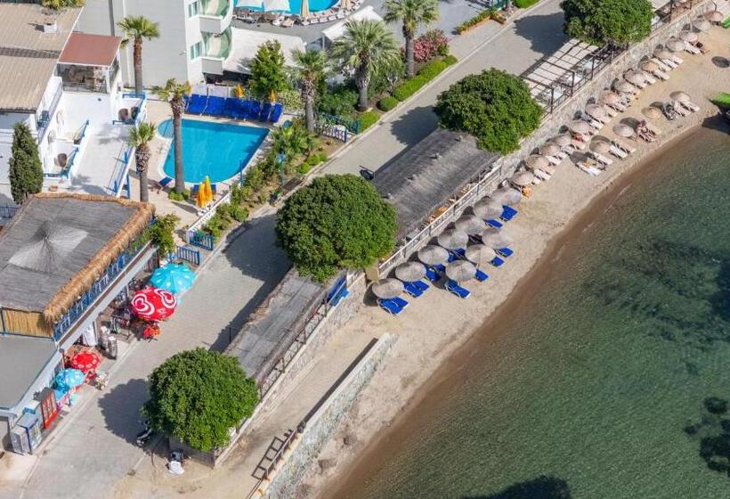 בית מלון כפרי MaxSea Beach