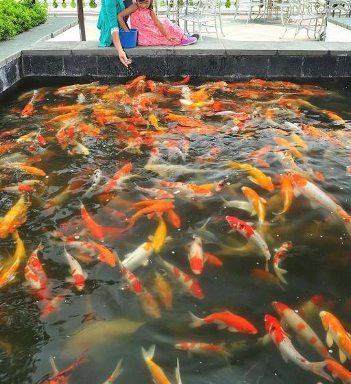 Fotos del hotel Pulai Springs Apartment:  12