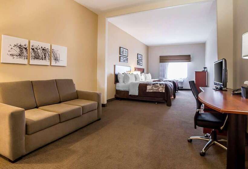 בית מלון כפרי Sleep Inn & Suites