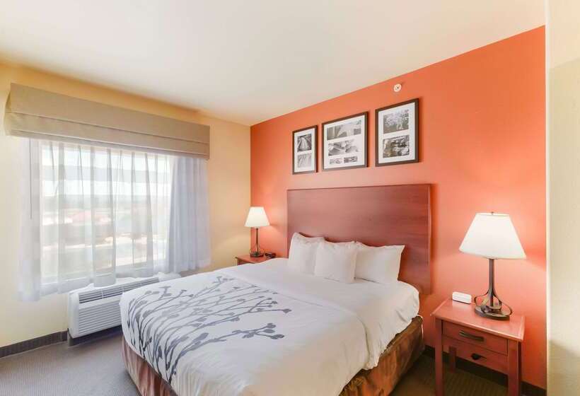 فندق Sleep Inn & Suites Midland West