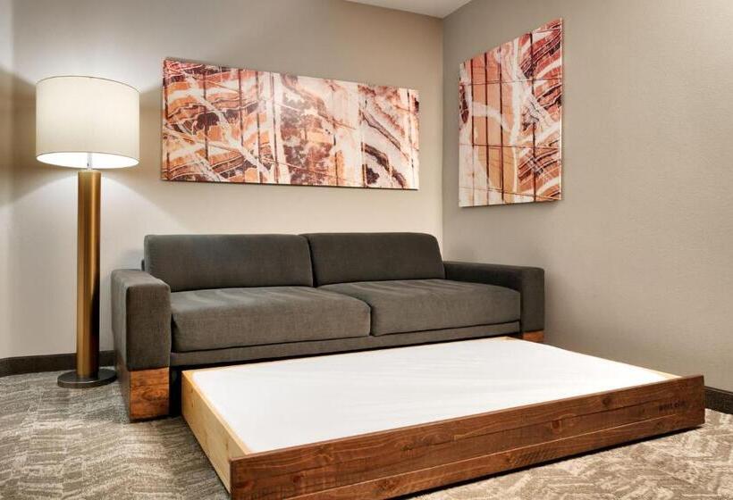 Fotos del hotel Springhill Suites By Marriott Las Vegas Convention Center:  16