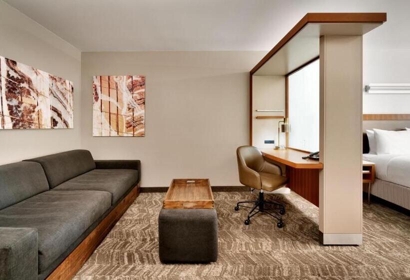 Fotos del hotel Springhill Suites By Marriott Las Vegas Convention Center:  30