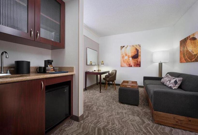 هتل Springhill Suites Napa Valley