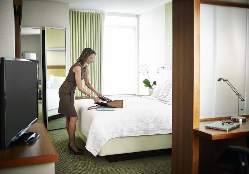 هتل Springhill Suites By Marriott Syracuse Carrier Circle