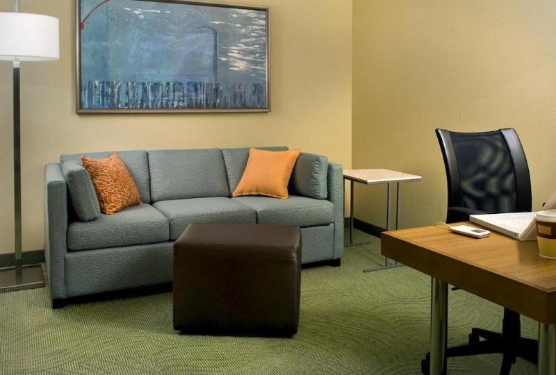 هتل Springhill Suites By Marriott Syracuse Carrier Circle