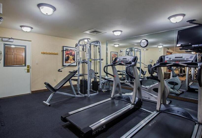 هتل Staybridge Suites Wilmington Newark By Ihg