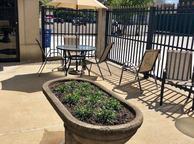 בית מלון כפרי The Juliet