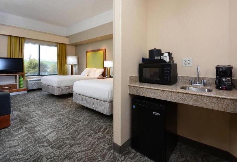 Springhill Suites Lynchburg Airport/university Area