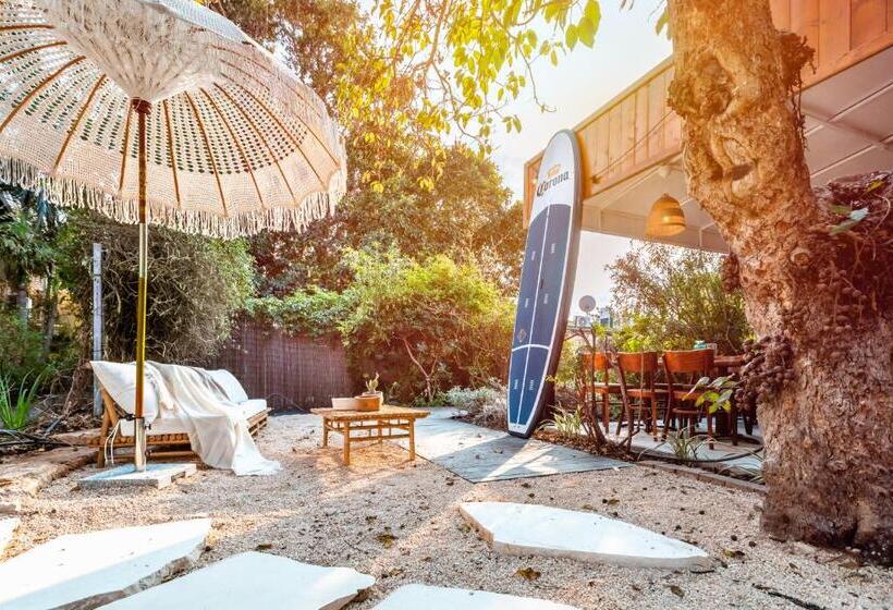 Dolphin Village   Sea Resort By Ran Hotels